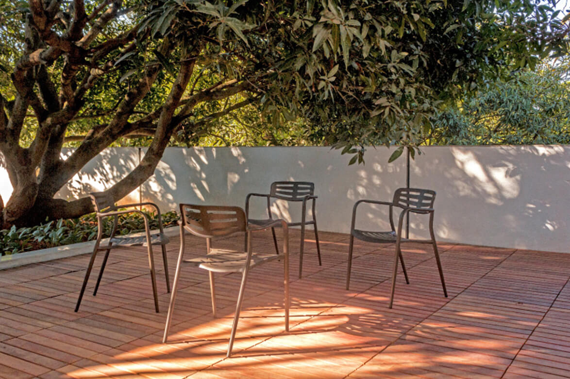 Regional New Years and the Importance of Mango Trees 