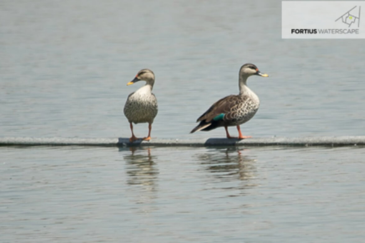 Options to De-stress In And Around Whitefield, Bangalore