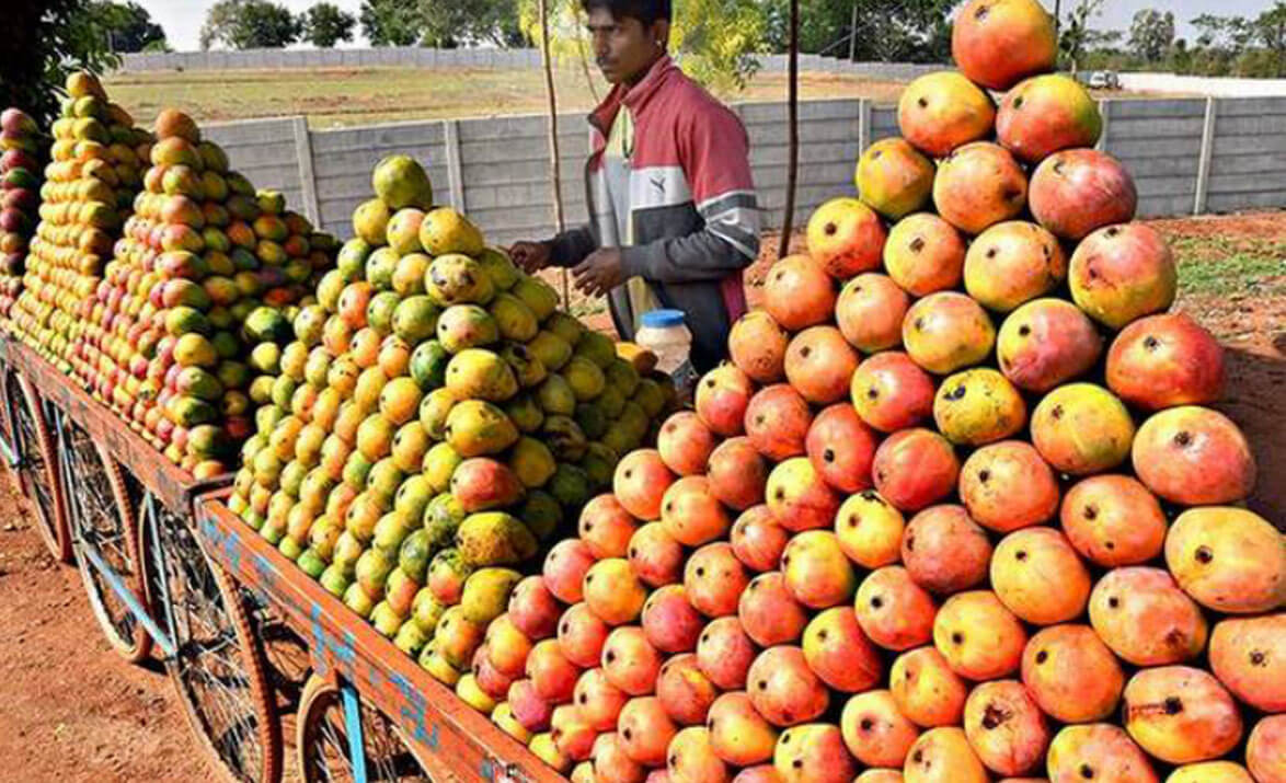 How Bangaloreans Celebrate with Mangoes