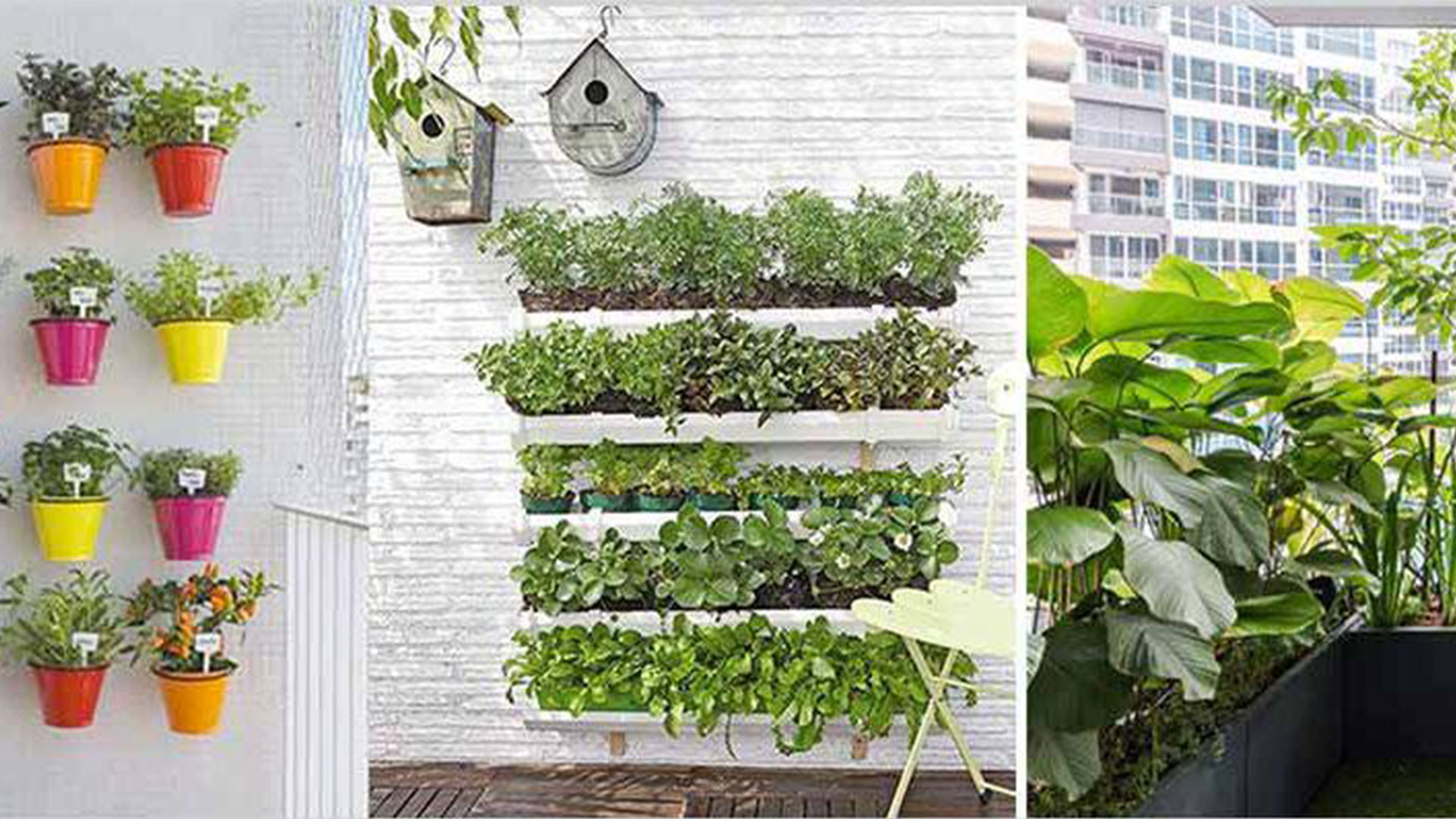How to Create the Ideal Balcony Garden
