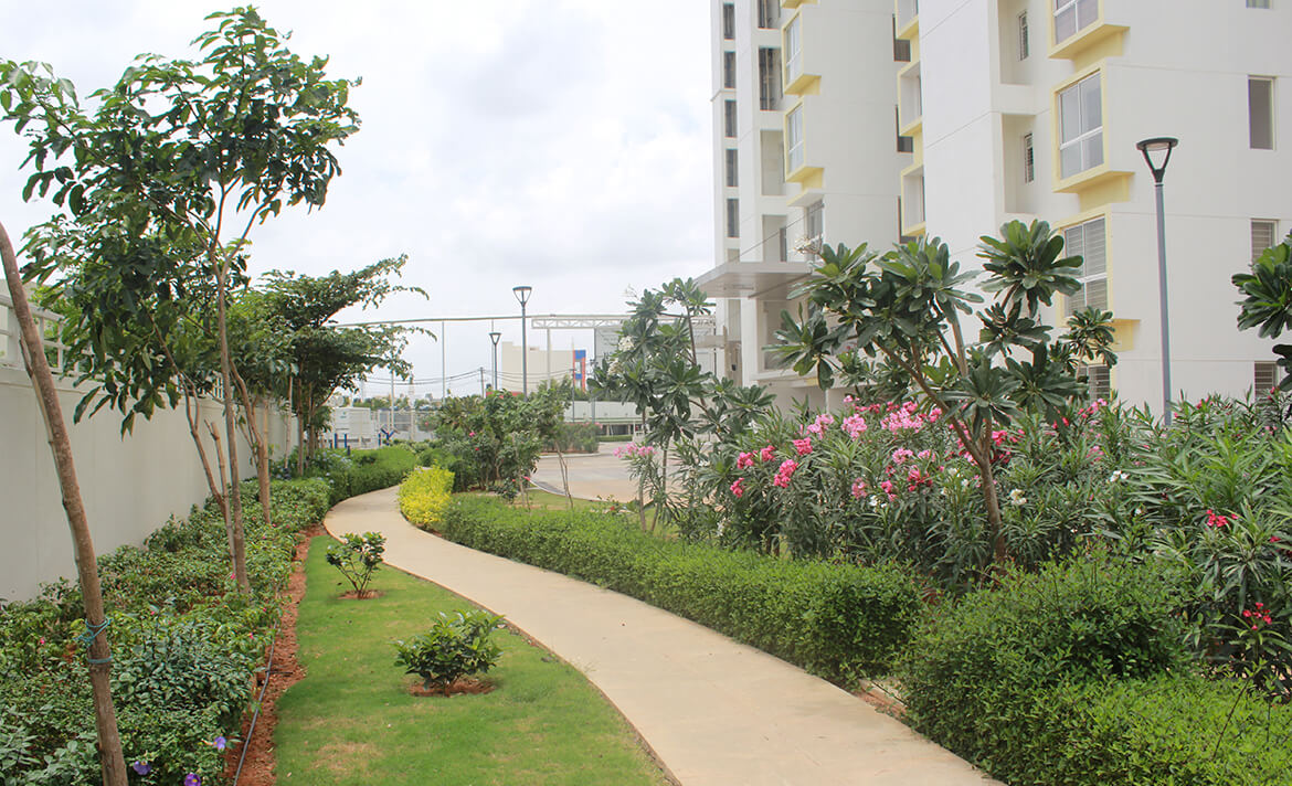 Ways to Improve Air Quality within Your Apartment