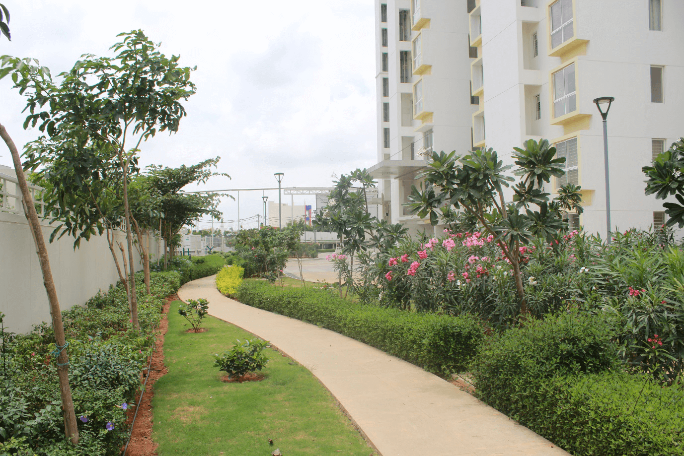 Style your Apartment Right with Curtains